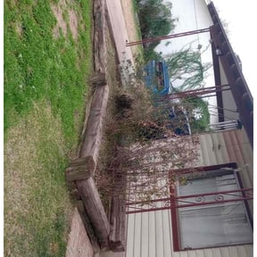 Cleanups by True Lawn and Tree Care reviewed on January 31, 2022