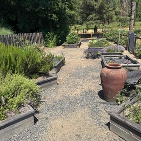 Weed Pulling by Lagger Properties reviewed on November 25, 2023