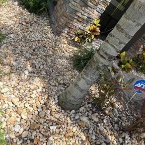 Flower Bed Weeding by E.R. Lawn Care Services reviewed on November 29, 2022