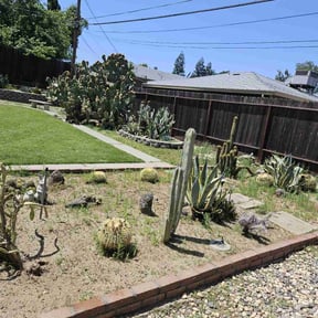 Weeding by Sac lawn care services reviewed on March 31, 2025