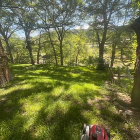 Cleanups by LSLTAustin/SanAntonioEmerald reviewed on February 27, 2025