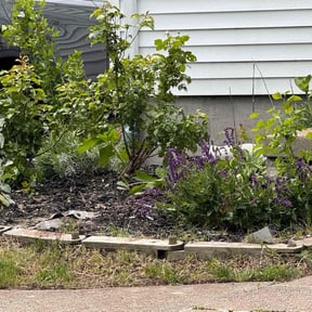 Flower Bed Weeding by Quality Pro. Construction reviewed on August 2, 2022