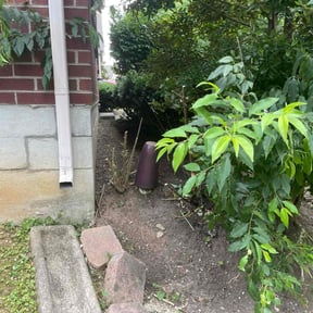 Bush Trimming by Amie&#039;s Clean Cut Lawns and More reviewed on July 30, 2022