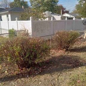 Bush Trimming by Byers Lawn reviewed on June 15, 2022