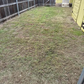 Cleanups by Solis Landscaping & Maintenance LLC reviewed on August 29, 2024