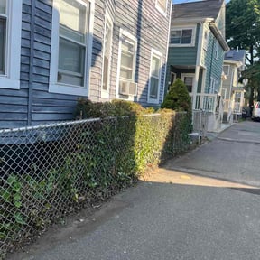 Bush Trimming by DmW Lawn care reviewed on July 19, 2022