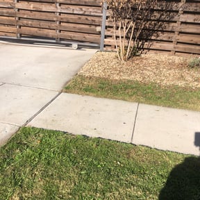 Flower Bed Weeding by Go-To Lawn Care reviewed on October 29, 2024