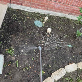 Flower Bed Weeding by LAWNCARE reviewed on May 12, 2022