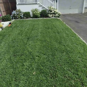 Bush Trimming by Fresh Cuts Lawn Professionals LLC reviewed on May 27, 2022