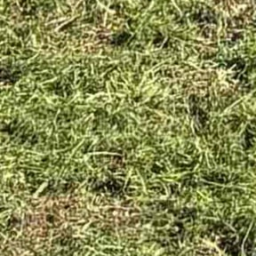 Weeding by Landscape reviewed on July 28, 2022