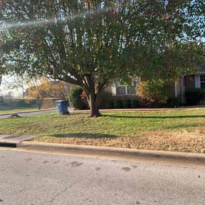 Leaf Removal by Swartz Lawn & Property Maintenance reviewed on May 9, 2022