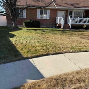 Leaf Removal by Quality Pro. Construction reviewed on July 19, 2022