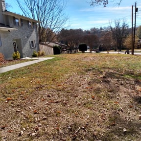 Cleanups by Stream Scene Landscaping reviewed on July 22, 2025