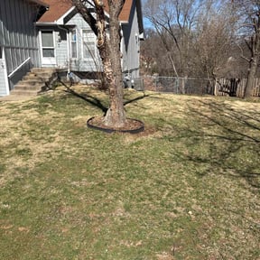 Cleanups by Push Mow Loudoun reviewed on May 31, 2022