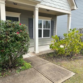 Bush Trimming by East Side Property Services LLC reviewed on July 14, 2022