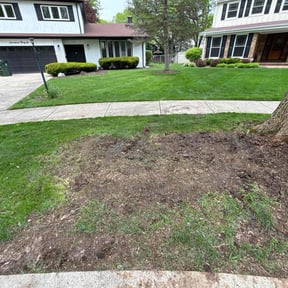 Leaf Removal by W S Donnell Lawn Services reviewed on April 28, 2022