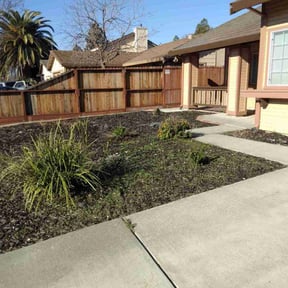 Weeding by A Closer Look Residential Inspections LLC reviewed on June 9, 2022