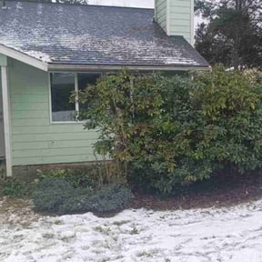 Bush Trimming by Walsh Landscape - Irrigation reviewed on June 4, 2022