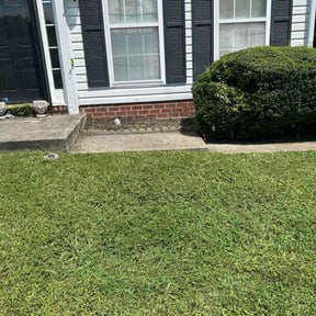 Flower Bed Weeding by George of the jungle lawn care reviewed on June 29, 2025