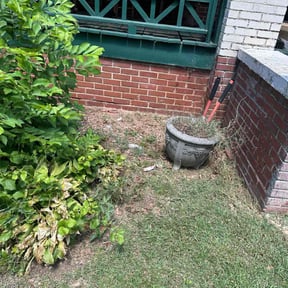 Weeding by #1 grass man reviewed on May 4, 2025