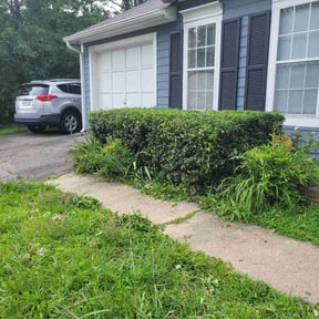 Bush Trimming by Owen Lawn Service reviewed on April 13, 2022