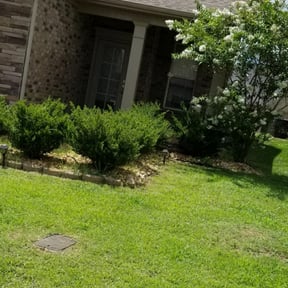 Flower Bed Weeding by Andasol Landscaping reviewed on July 7, 2025