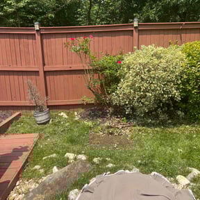 Bush Trimming by RTH Lawn Service & Landscaping LLC reviewed on December 22, 2021
