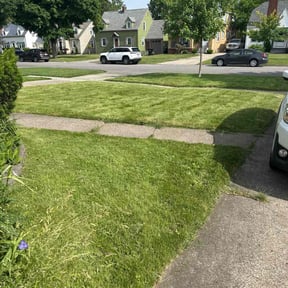 Cleanups by Lucy's Landscape reviewed on October 7, 2020
