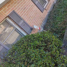 Bush Trimming by TMD ELITE PROPERTY PRESERVATION LLC reviewed on May 3, 2022