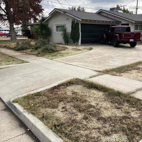 Cleanups by Parker Landscape &amp; Maintenance reviewed on June 25, 2025