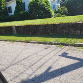 Bush Trimming by B & L landscaping LLc. reviewed on May 3, 2022