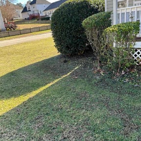 Bush Trimming by Js Lawn Care reviewed on October 23, 2024