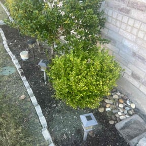 Flower Bed Weeding by Valencia Landscaping reviewed on July 6, 2021