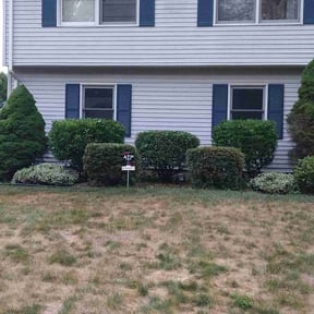 Bush Trimming by Pro Green Landscape L L C reviewed on May 19, 2022