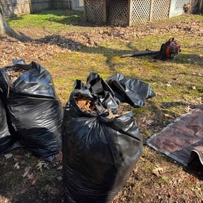 Cleanups by Green turf landscape llc reviewed on August 9, 2022