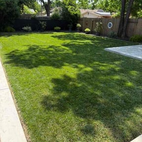 Weeding by PerfectCutLawn reviewed on June 17, 2022
