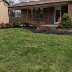Leaf Removal by Dabbic Lawn Care LLC reviewed on May 1, 2022