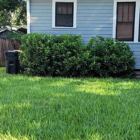 Bush Trimming by Greg's gardens reviewed on July 3, 2022