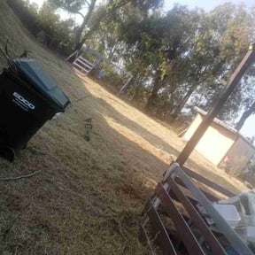 Bush Trimming by Mike’s lawn care reviewed on July 22, 2022