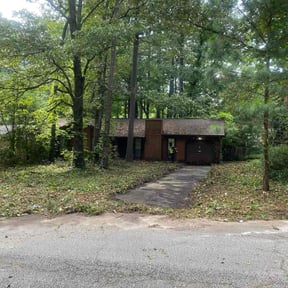 Leaf Removal by 3DM reviewed on November 28, 2021