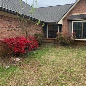 Bush Trimming by Arbor Pro Tree &amp; Landscaping reviewed on June 5, 2025