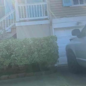 Bush Trimming by Brett's Lawn Service reviewed on March 29, 2022