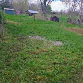 Leaf Removal by Universal landscaping and hauling reviewed on June 13, 2022