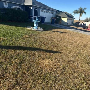 Cleanups by I&N Lawncare Services LLC reviewed on March 26, 2025