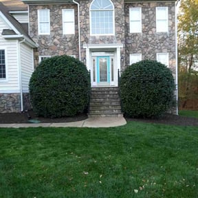 Bush Trimming by Jeri Cleaning Services reviewed on April 30, 2025