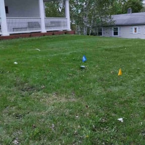 Leaf Removal by Earths Etiquette reviewed on June 3, 2022
