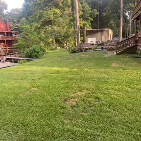 Bush Trimming by Star Landscaping reviewed on June 28, 2025