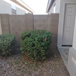 Bush Trimming by J’s Lawn Care reviewed on May 24, 2022