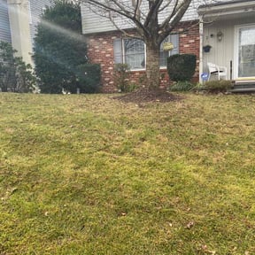 Bush Trimming by Good Fellas Landscaping reviewed on May 18, 2025