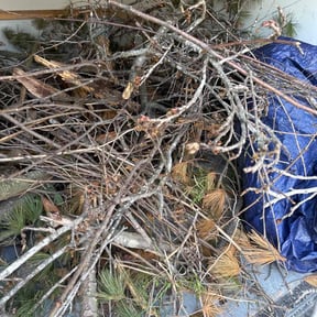 Leaf Removal by Universal services rcr LLC reviewed on June 1, 2022